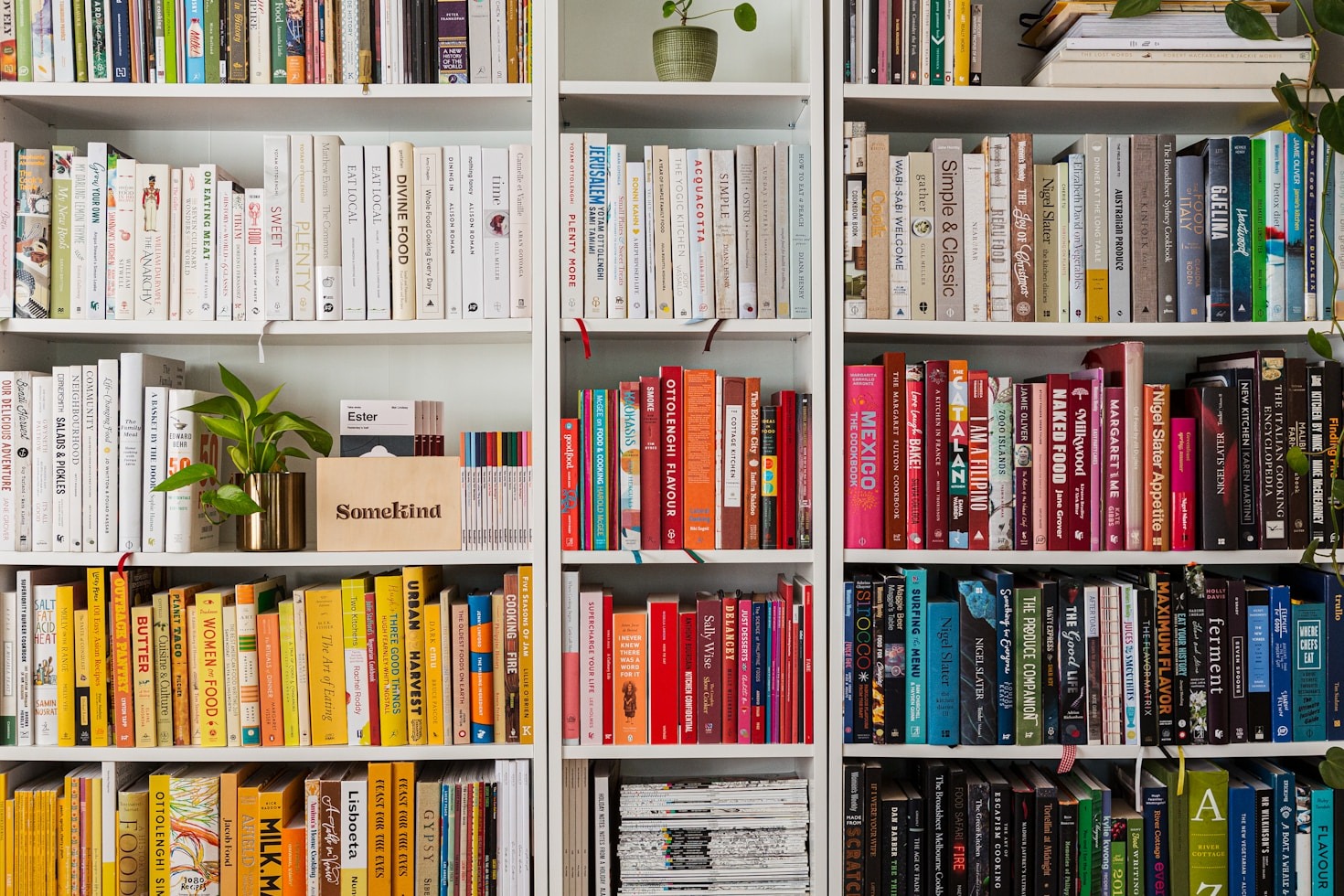 De beste Young Adult titels van dit jaar